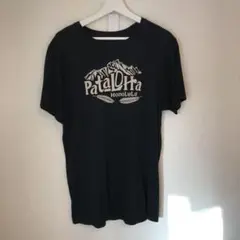 限定完売！日本未発売！ハワイ購入パタゴニアTシャツM/パタロハホノルル染プリント