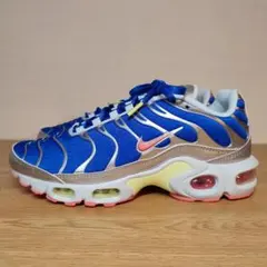 海外限定 NIKE AIR MAX PLUS “Blue/Metallic