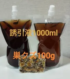 Item thumbnail for item 6f1de020-8124-46cd-a1b2-98ca7ebb2573