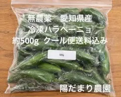 無農薬　国産　冷凍ハラペーニョ約500g クール便　送料込みのサムネイル