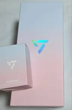 SEVENTEEN 10周年 ペンライト ボンボンイ キーリング