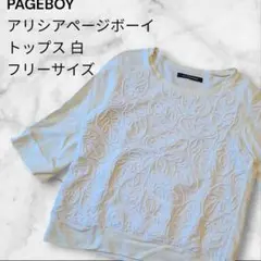PAGEBOY アリシアページボーイ レース トップス 白 フリーサイズ 七分袖