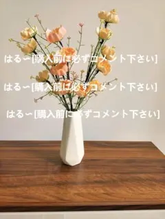 はる〜[購入前に必ずコメント下さい]