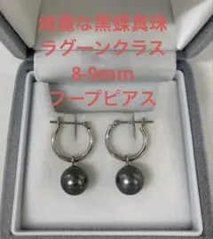 テリ最強 黒蝶真珠 ラグーンクラス 10-11mm プラチナピアス - メルカリ
