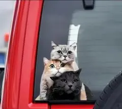 ③ ステッカー 猫 ねこ ネコ 可愛い 車 装飾 猫好き 面白い 動物 アクセ