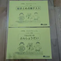 Item thumbnail for item d2784b5b-4d77-4bc1-b6d1-62bcf0e96b9e