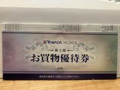 ヤマダ電機　株主優待10枚　5000円