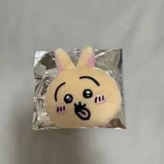 ちいかわ　なかよしぬいぐるみバッジ　いろんなおかお　うさぎ