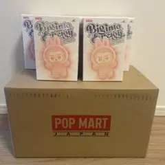 ポップマート　ラブブ　エナジー　 5個セット　正規品 Energy　らぶぶ