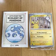 ロンドン自然史博物館 Pikachu at the Museum トートバッグ - メルカリ