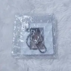 BTS ARIRANG アリラン アーリーバード特典 キーホルダー ジン