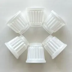 Item thumbnail for item 1e62b4df-a004-4315-8d27-e1950c7f4dff