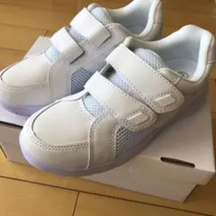 Item thumbnail for item 6d66e6d6-3987-4330-82e1-c249d2dd819f