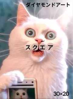 ダイヤモンドアートキット　スクエア　30×20