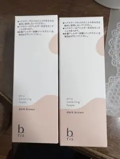 b ris エアリー カラーリングフォーム ダークブラウン 2個セットのサムネイル