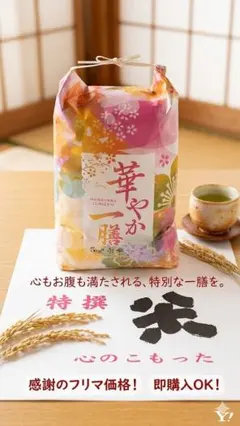 【MA☆様専用】令和7年静岡県産の30kg　玄米　特別栽培