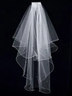 Item thumbnail for item 54d17936-ca99-4287-a306-d3b8bc05f4b0