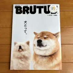 BRUTUS ブルータス　2016年3月15日号