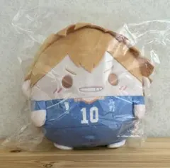 ハイキュー!!ぬいくじ ふわコロりん 日向翔陽D賞 2点セット - メルカリ