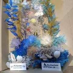 琉球*海のたね　海花⭐︎ マリンフラワー　ハーバリウム 琉球*海のたね 海花⭐︎ マリンフラワーD ハーバリウム花材 - メルカリ