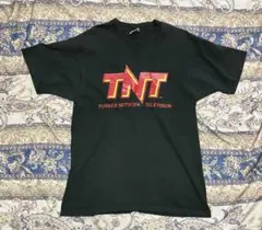 90s TNTロゴTシャツ USA製 FRUIT OF THE LOOM L