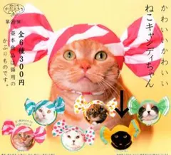 Item thumbnail for item f731ce7e-3b4b-4dc8-a384-e7a196c9f689