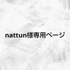 nattun様専用ページ