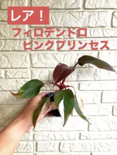 悠優彩来♪様 リクエスト 2点 まとめ商品