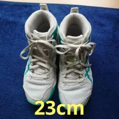 Item thumbnail for item 4947700a-6aae-41f1-afd3-077c5727563c