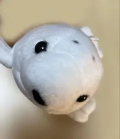 アザラシ ぬいぐるみ キーホルダー
