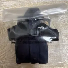 THE NORTH FACE Mini Mountain Jacket