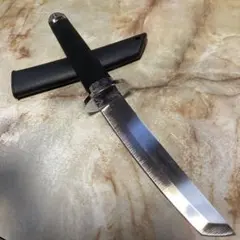 Item thumbnail for item 09e2f9b3-d34d-48c5-9043-6b73326e41d2