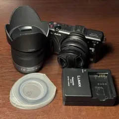 Lumix DMC-GF2 ミラーレス一眼カメラ 本体 レンズ フィルター