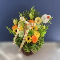 KAN☆KAN様 リクエスト 2点 まとめ商品