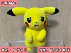 ポケットモンスター いろんなおかおぬいぐるみ ピカチュウ 悲しみ 30周年 ①