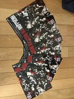HiGH＆LOW フライヤー五枚セット