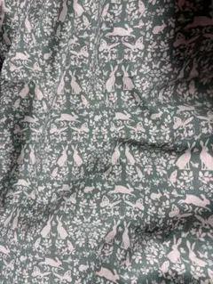 Item thumbnail for item 0d39b500-0c74-4a0c-a988-05d5384b03f0