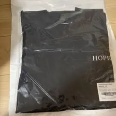 小沢健二 神秘的