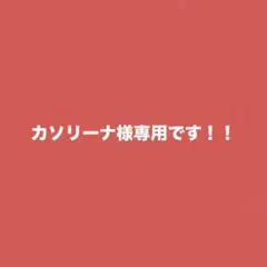 カソリーナ様専用 ゆあんくんグッズ