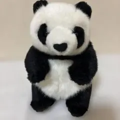 上野動物園　パンダ ぬいぐるみ20センチ
