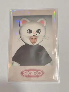 スキズ　フィリックス　ペンミ　ポラロイド　straykids skzoo straykids フィリックス ポガリ pilot ペンミ ぬい 未開封 Stray