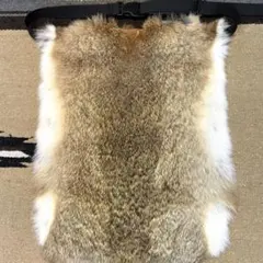 2026年最新】ラビット 尻あての人気アイテム - メルカリ