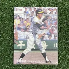 トイプードル様 リクエスト 2点 まとめ商品