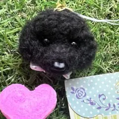 Item thumbnail for item 221f532d-3b05-4360-b17b-8a200602e051