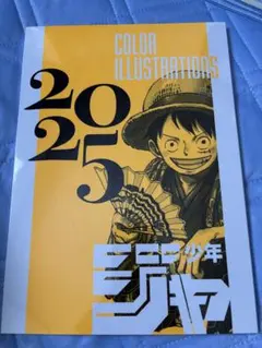新品少年ジャンプ非売品イラスト集 COLORILLUSTRATIONS 2025 - メルカリ