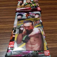 RIZINウエハース 24 No.11 キム・スーチョル