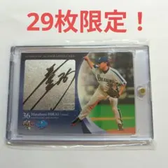 Item thumbnail for item 1756fcbf-23e0-4a51-a5da-9ffad72cece7