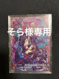 そら　様　専用出品　z/x