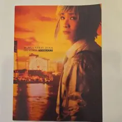 Item thumbnail for item 1c7116db-dc6d-4cd2-b44a-d3abe55f5932