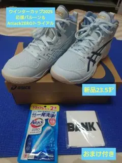 Item thumbnail for item 7b448d95-0454-4fe5-be0d-8b9c3e9de093